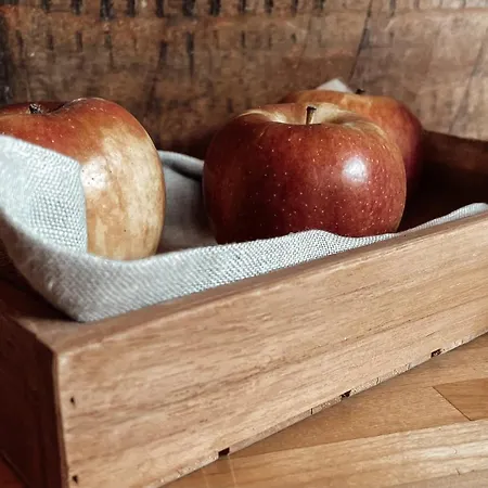 Mit Privat - Haus Luka * Fischbach